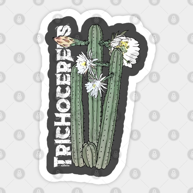 TRICHO #02 (variant) Sticker by AgaCactus